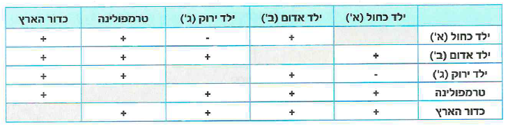 (בספר איור, היעזר במנחה)